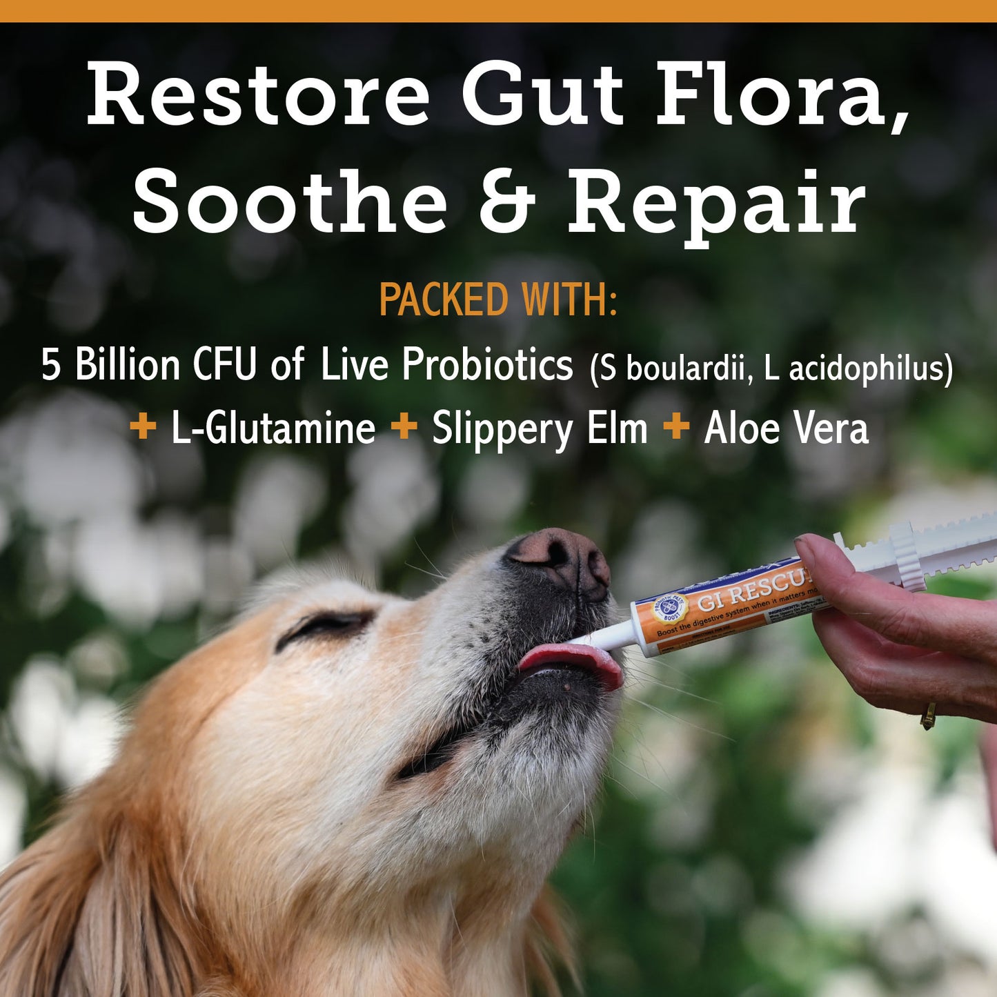 GI RESCUE - Paste
