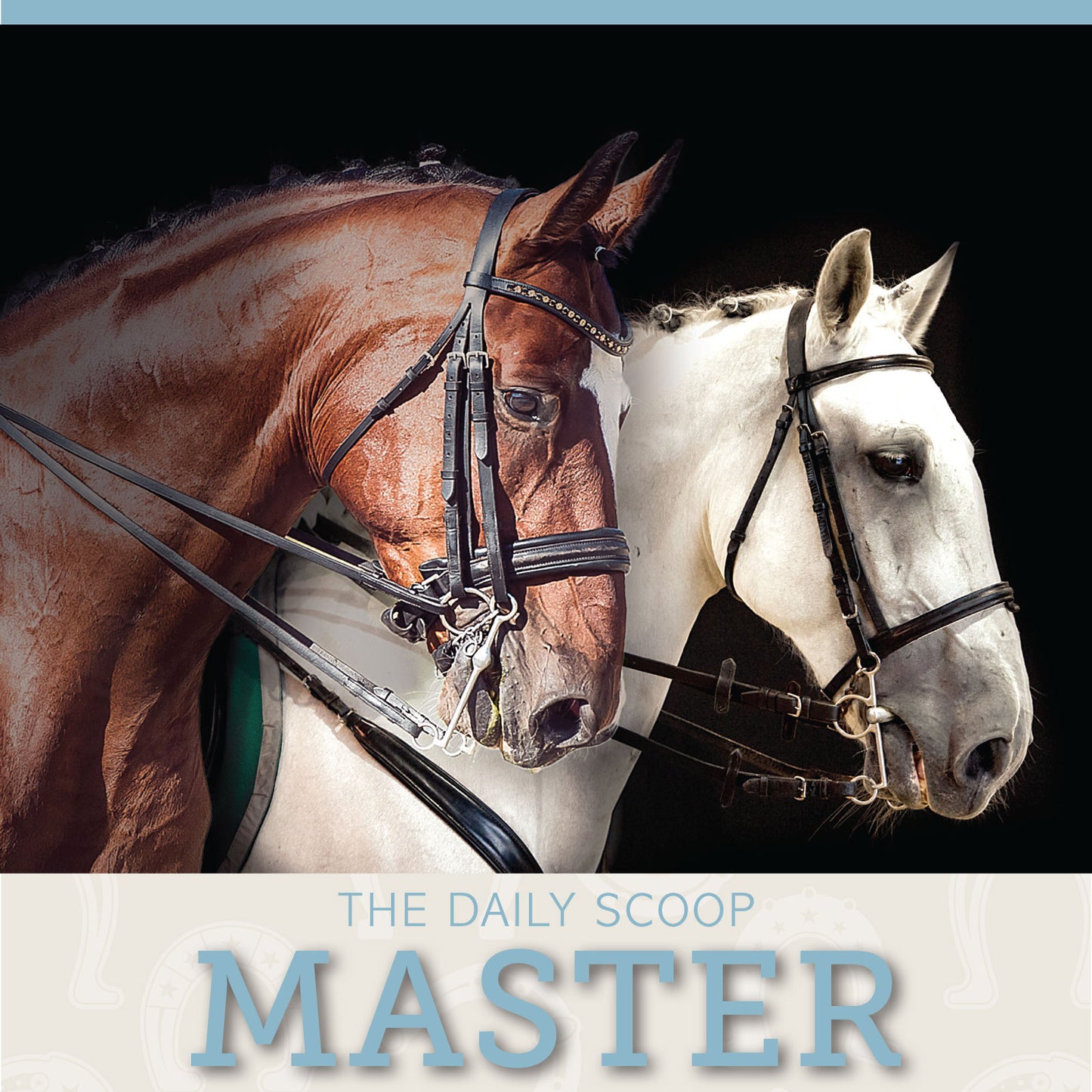 The Daily Scoop: MASTER