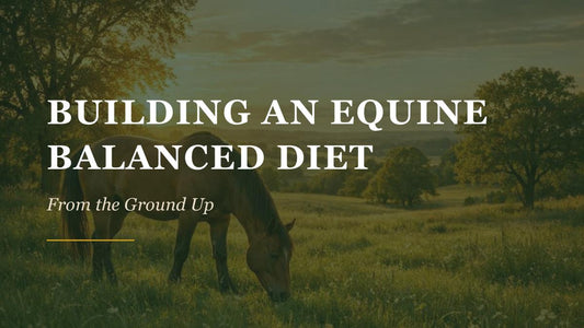 How to build a balanced equine diet (and why most "balanced" diets aren't)
