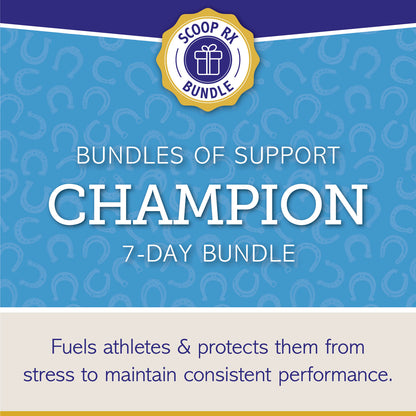 Bundles of Support: CHAMPION