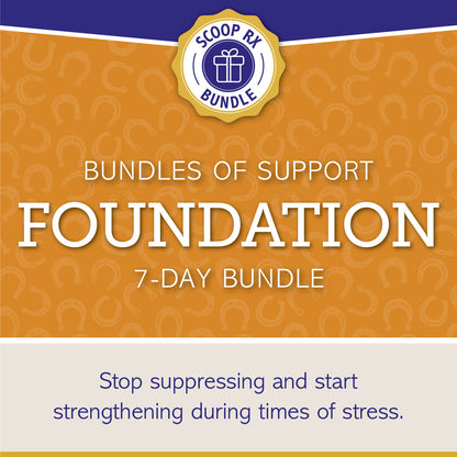 Bundles of Support: FOUNDATION