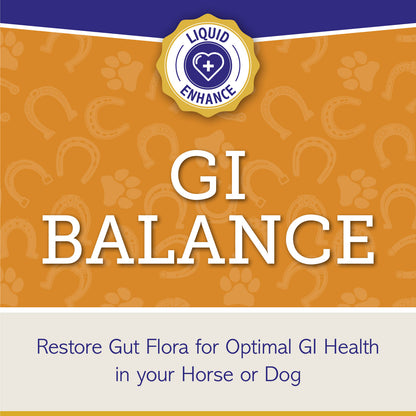 GI BALANCE - Liquid