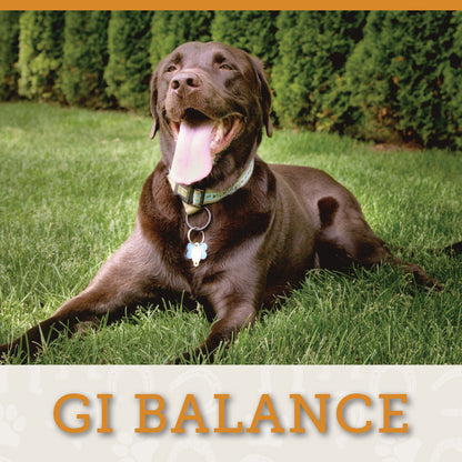 GI BALANCE - Liquid