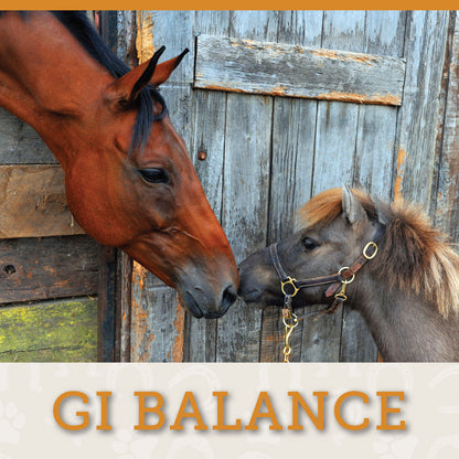 GI BALANCE - Liquid