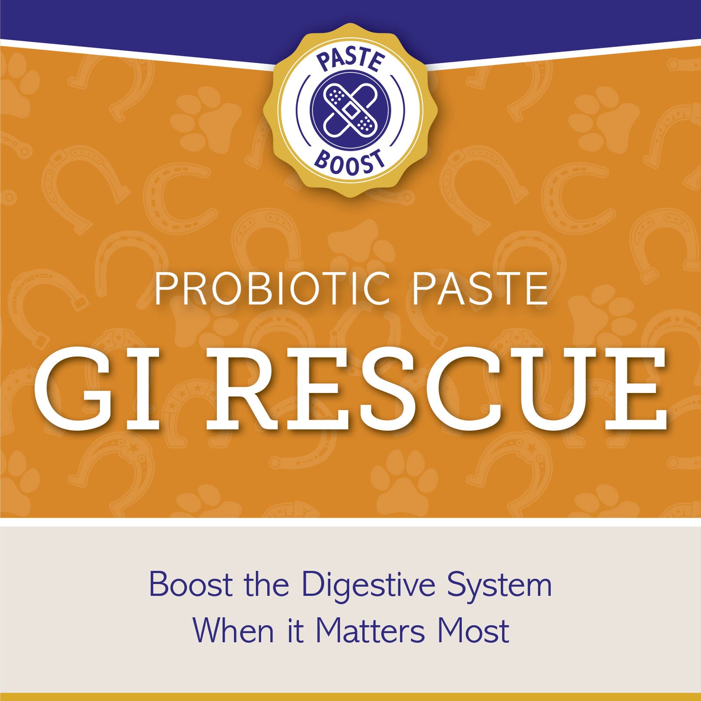 GI RESCUE - Paste