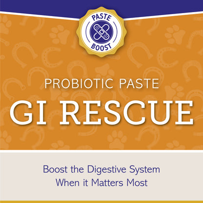 GI RESCUE - Paste