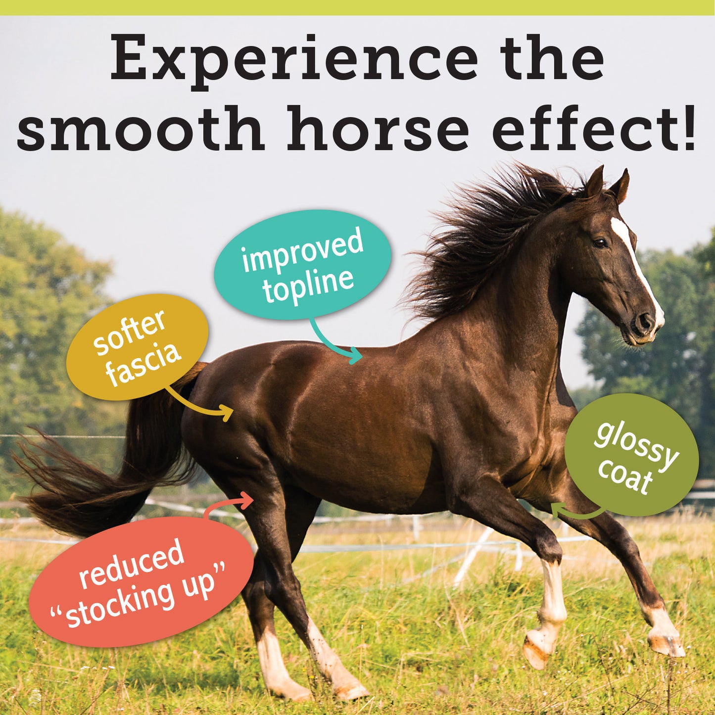 STACKED FAT + VITAMIN E