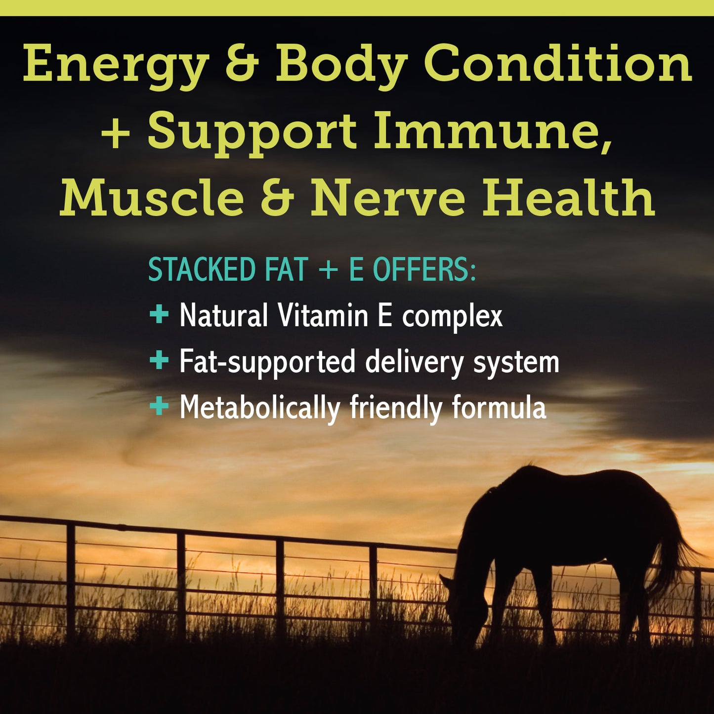 STACKED FAT + VITAMIN E