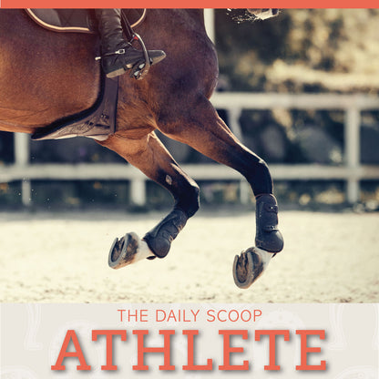 The Daily Scoop: ATHLETE