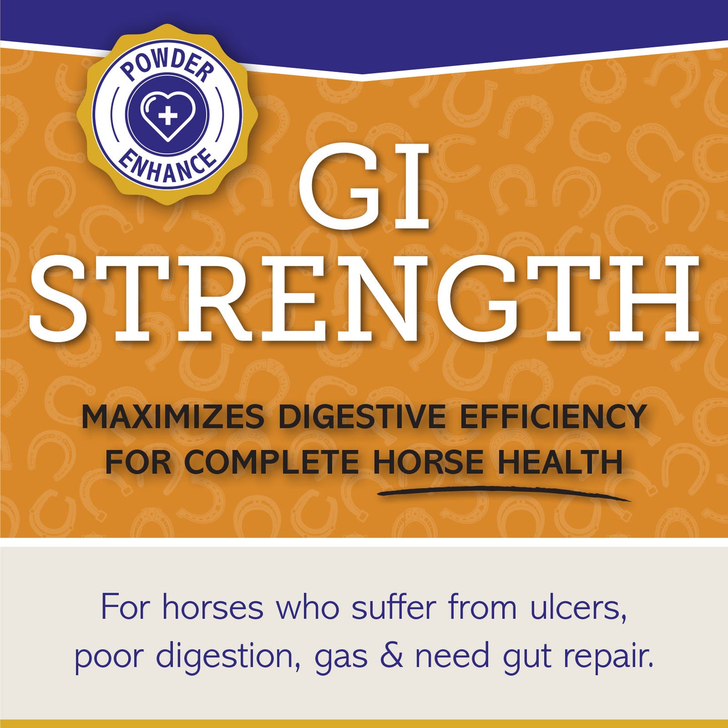 GI STRENGTH - Powder