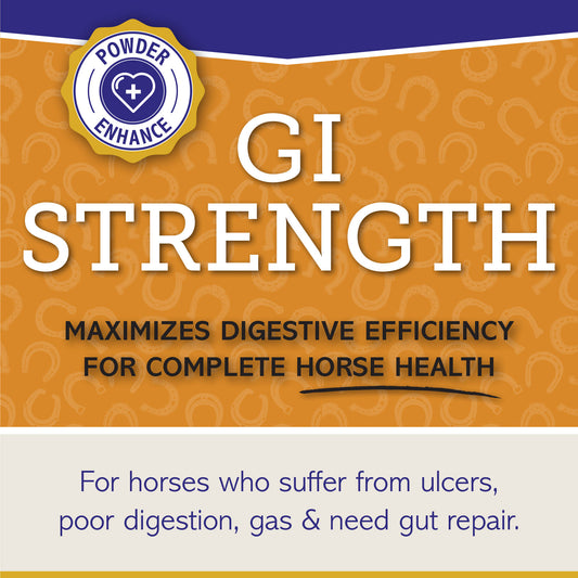 GI STRENGTH - Powder