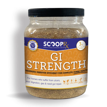 GI STRENGTH - Powder