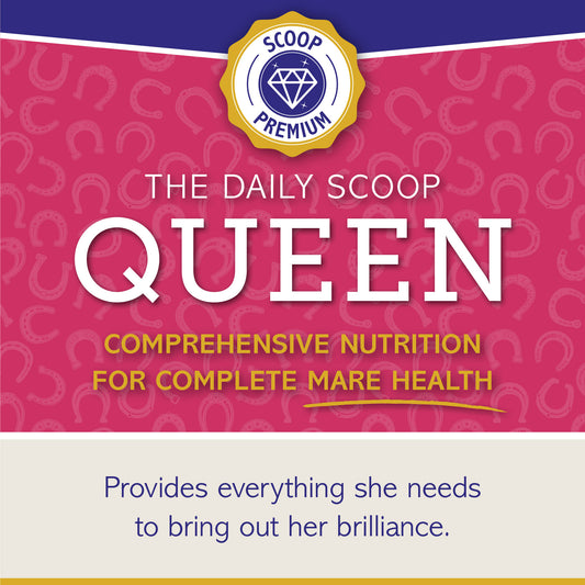 The Daily Scoop: QUEEN